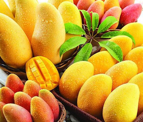 複合肥價格區(qū)别在哪裡(lǐ)